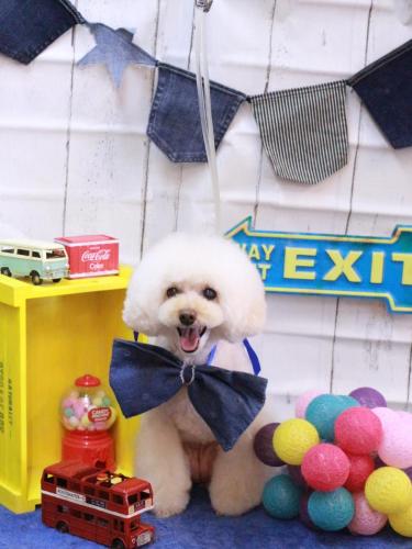 20230419ピッピちゃん